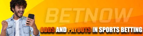 How do Odds and Payouts Work in Sports Betting