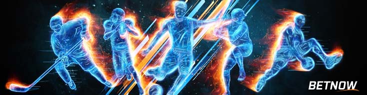 What are the Different Types of Sports Bets