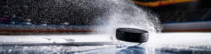 NHL 2024-25 Season Preview: Teams to Watch