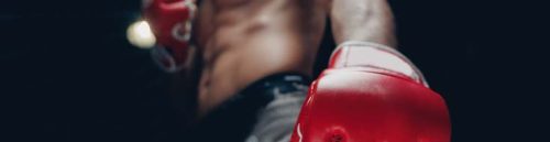 Fight Camp Insights – How Training Conditions Affect California UFC Bets