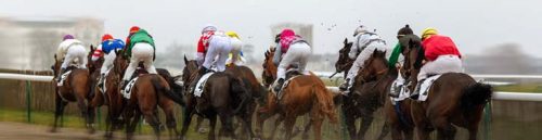 The Best Online Racebooks for Betting on Horse Racing in Texas – A Comprehensive Guide for Local Bettors