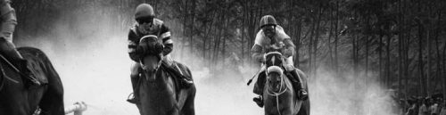 Can Texas Racebook Feeds Improve Your Betting