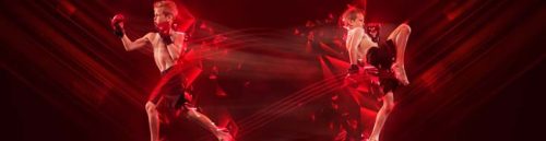 Fighter Styles and UFC Bets at Florida Sportsbooks