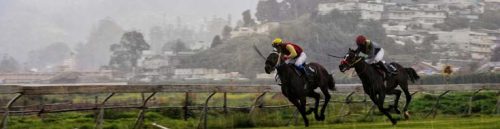 How California Racebooks Use Weather to Adjust Odds