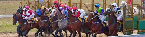 How Player Reviews Affect California Racebook Reputation