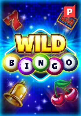 Play Wild Bingo Casino Game
