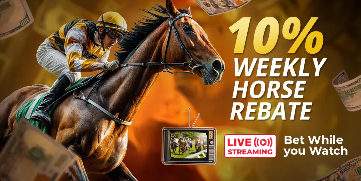 Horse Rebate